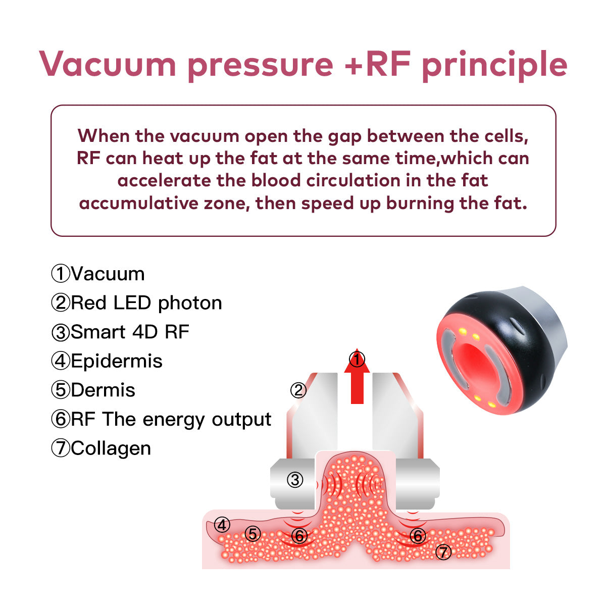 SQ16B Basic 4-in-1 40K Ultrasonic Cavitation & RF Machine