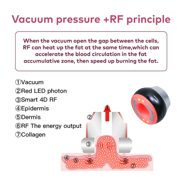 SQ16B Basic 4-in-1 40K Ultrasonic Cavitation & RF Machine